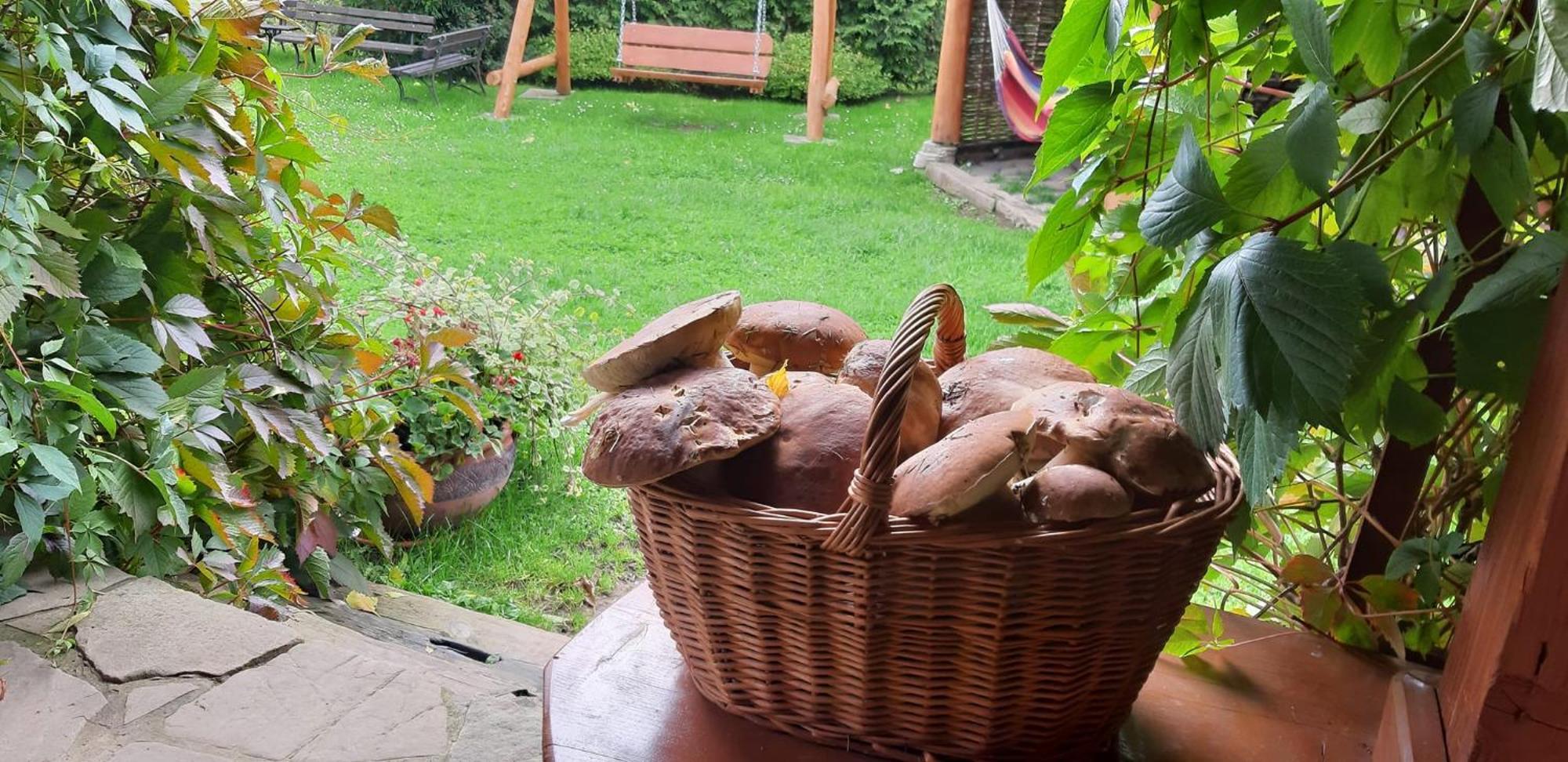 Apartmán Pegazowa Wola Cisna Exteriér fotografie