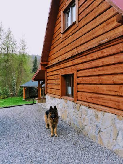 Apartmán Pegazowa Wola Cisna Exteriér fotografie