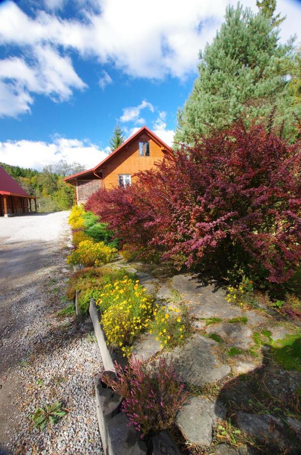 Apartmán Pegazowa Wola Cisna Exteriér fotografie